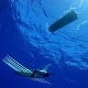 محقق ایرانی به همراه تیم خود پهپاد زیردریایی برای رصد دی اکسید کربن اقیانوس ها ساخت